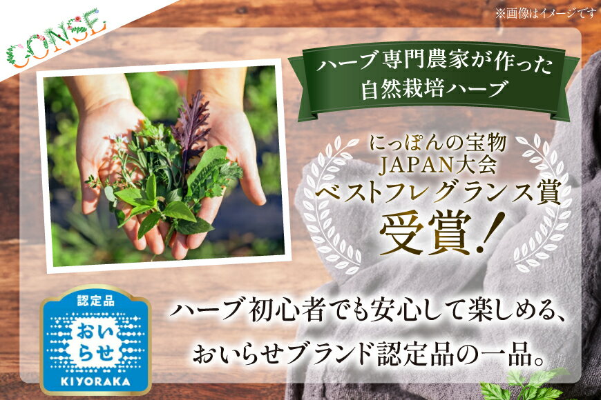 【ふるさと納税】 ハーブティー ティーバッグ 青森ハーブとりんごのティーセット 3種2個 計6p [CONSE 青森県 おいらせ町 oi02ayo640001] ティーパック 詰め合わせ 飲み比べ ティー セット お茶 茶 ハーブティー アップルティー バジル カモミール サムネイル3