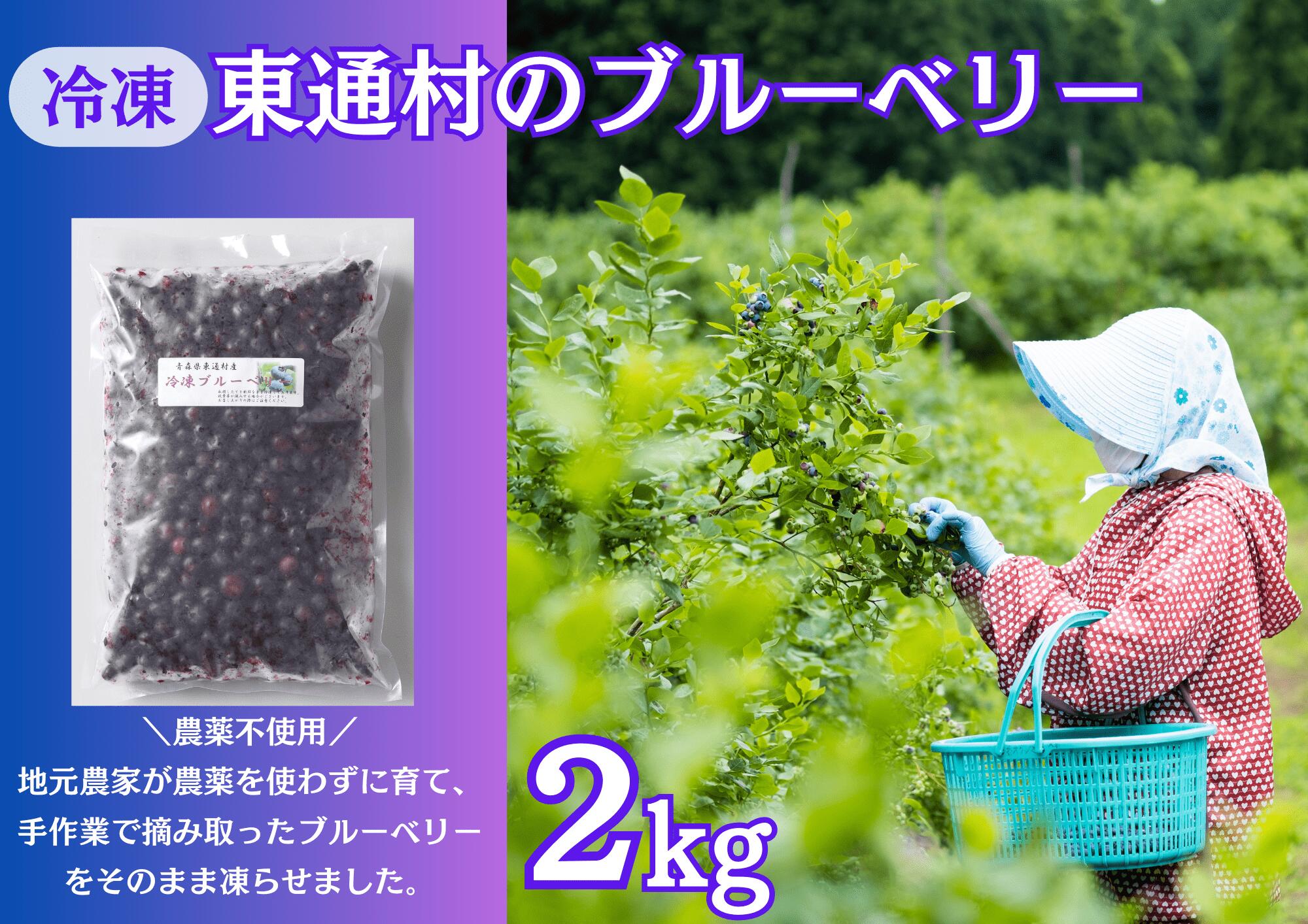冷凍ブルーベリー（2kg）