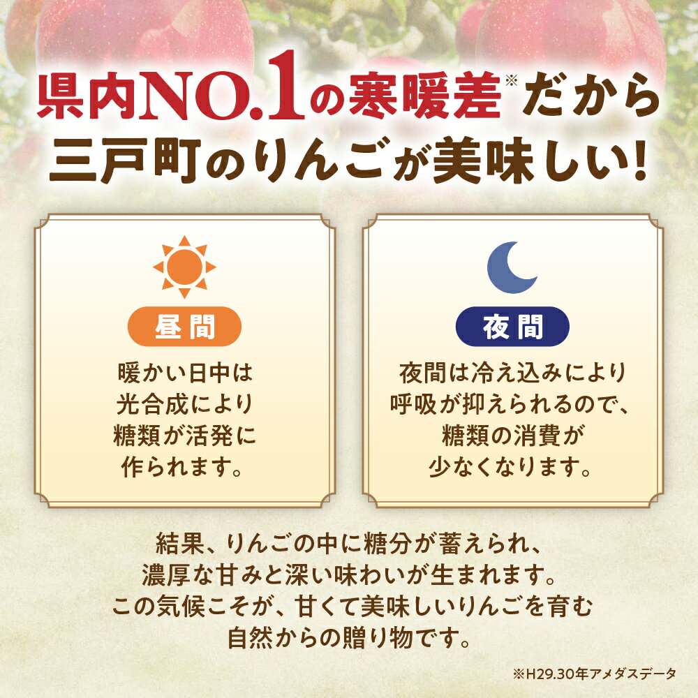 【ふるさと納税】青森りんご【シナノスイート】約5kg（12〜20玉）【2025年産・先行予約】★2025年10月中旬〜11月中旬頃まで発送予定★りんご 林檎 リンゴ 国産 シナノスイート フルーツ 果物 贈答 土産 青森県 三戸町 H2855 サムネイル3