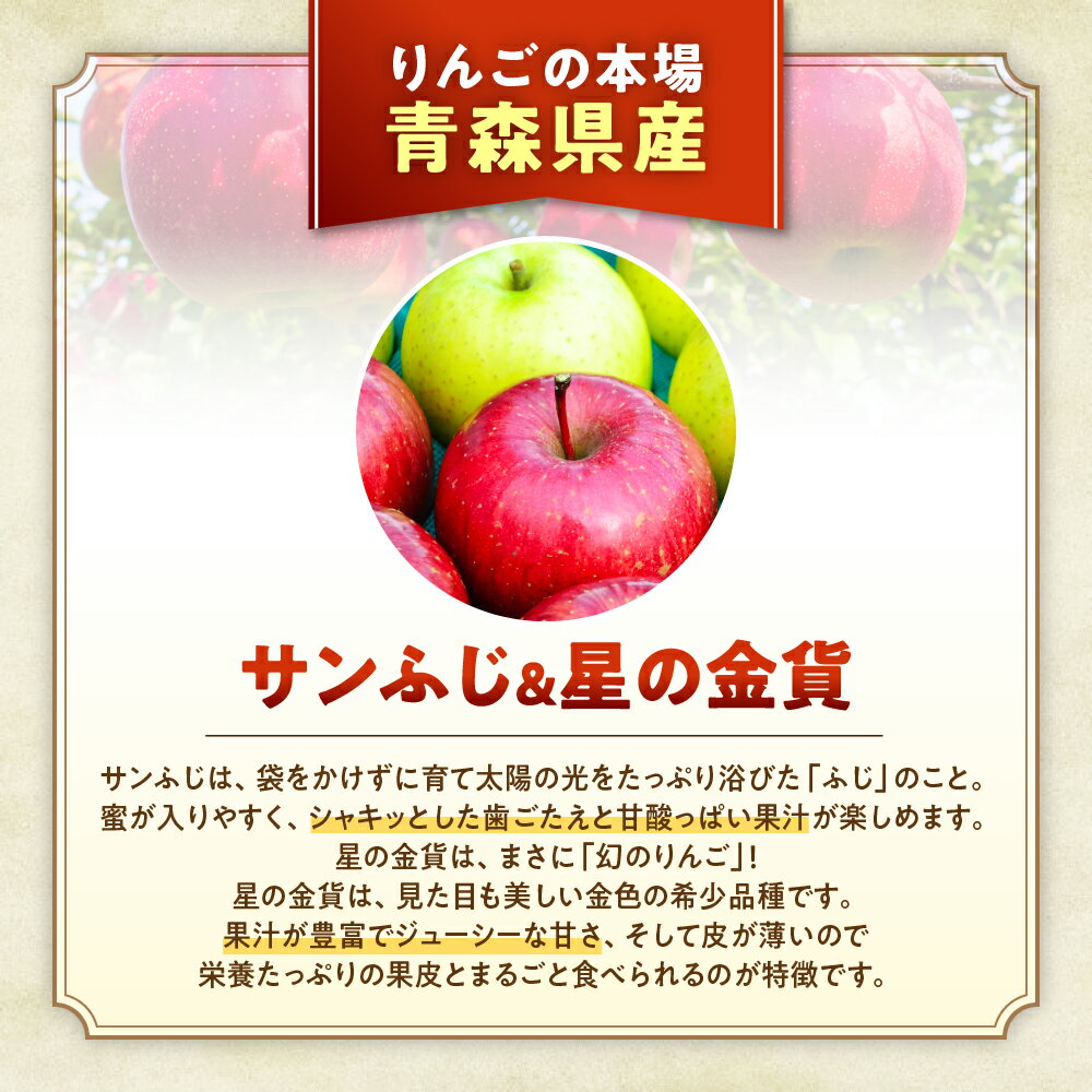 【ふるさと納税】青森りんご【サンふじ＆星の金貨】セット 約5kg（12〜20玉）【2025年産・先行予約】★2025年11月中旬〜12月中旬頃まで発送予定★りんご 林檎 リンゴ 果物 フルーツ 国産 贈答 土産 青森県 三戸町 H2832 サムネイル2