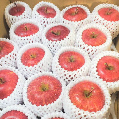 【ふるさと納税】【青森ごのへ産】味に自信 りんご サンふじ 約5kg【配送不可地域：離島・沖縄県・中国・四国・九州】【1034082】 サムネイル3