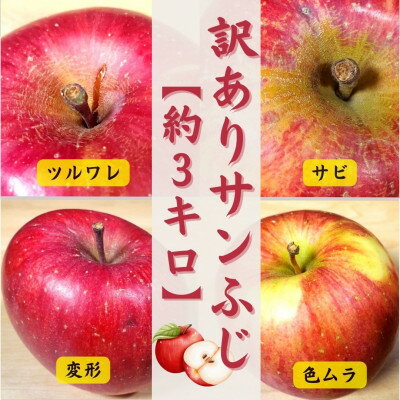 サンふじリンゴ家庭用訳ありセット【配送不可地域：離島・沖縄県・中国・四国・九州】【G1122681】