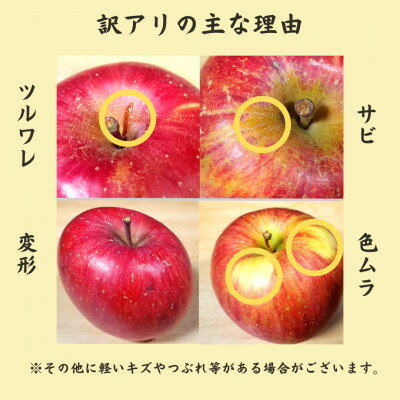【ふるさと納税】サンふじリンゴ家庭用訳ありセット【配送不可地域：離島・沖縄県・中国・四国・九州】【G1122681】 サムネイル2