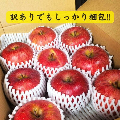 【ふるさと納税】サンふじリンゴ家庭用訳ありセット【配送不可地域：離島・沖縄県・中国・四国・九州】【G1122681】 サムネイル3
