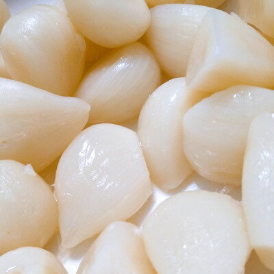 【ふるさと納税】幻の旬!青森ごのへ町産　掘りたて土付き「生」にんにく　Lサイズ以上　約1.5kg【配送不可地域：離島・沖縄県】【1599840】 - 画像3