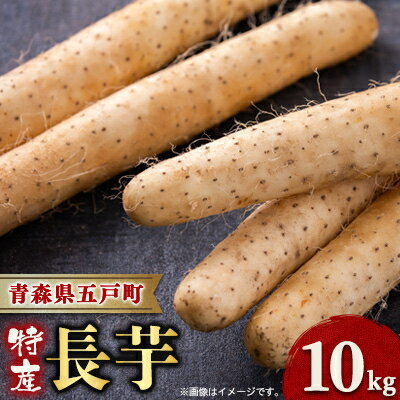 【青森県五戸町特産】長芋　10kg【配送不可地域：離島・沖縄県】【1017943】