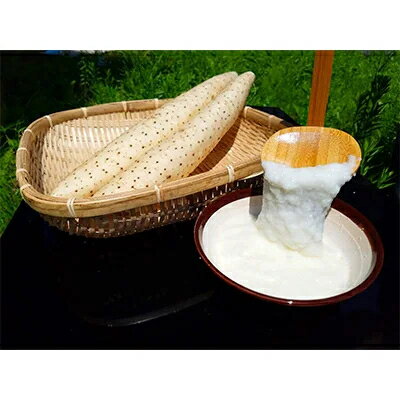 【ふるさと納税】【青森県五戸町特産】長芋　10kg【配送不可地域：離島・沖縄県】【1017943】 - 画像3