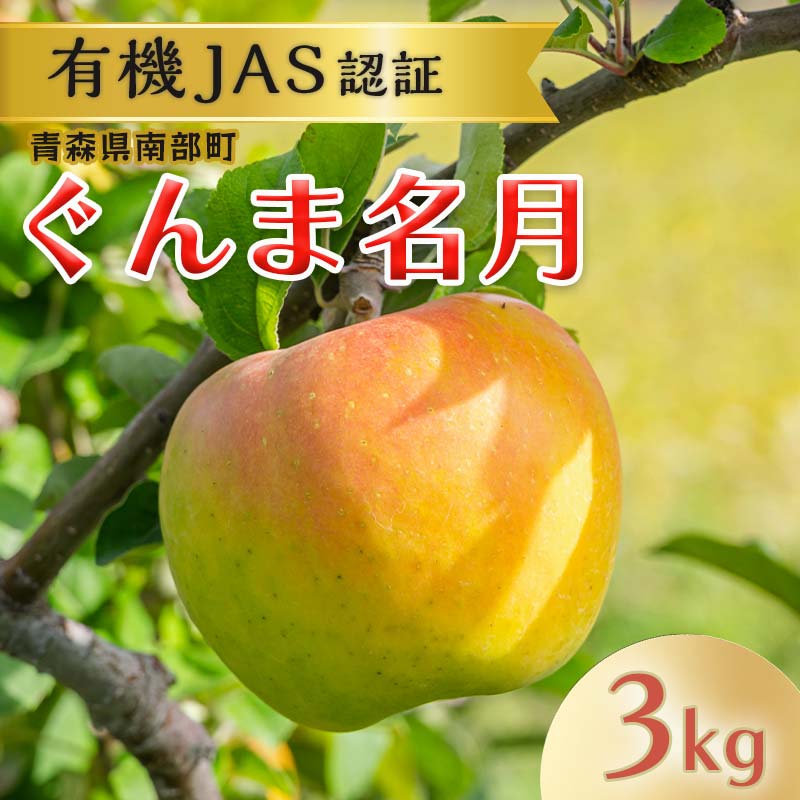 有機JAS認証 りんご ぐんま名月 約3kg 【和楽堂りんご養生農苑】 青森りんご リンゴ 林檎 アップル あおもり 青森 青森県 南部町 三戸 南部 果物 くだもの フルーツ オーガニック F21U-321