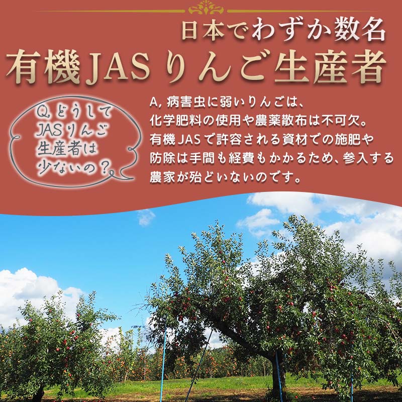【ふるさと納税】 有機JAS認証 りんご ぐんま名月 約3kg 【和楽堂りんご養生農苑】 青森りんご リンゴ 林檎 アップル あおもり 青森 青森県 南部町 三戸 南部 果物 くだもの フルーツ オーガニック F21U-321 サムネイル2