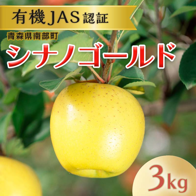 有機JAS認証 りんご シナノゴールド 約3kg 【和楽堂りんご養生農苑】 青森りんご リンゴ 林檎 アップル あおもり 青森 青森県 南部町 三戸 南部 果物 くだもの フルーツ オーガニック F21U-322