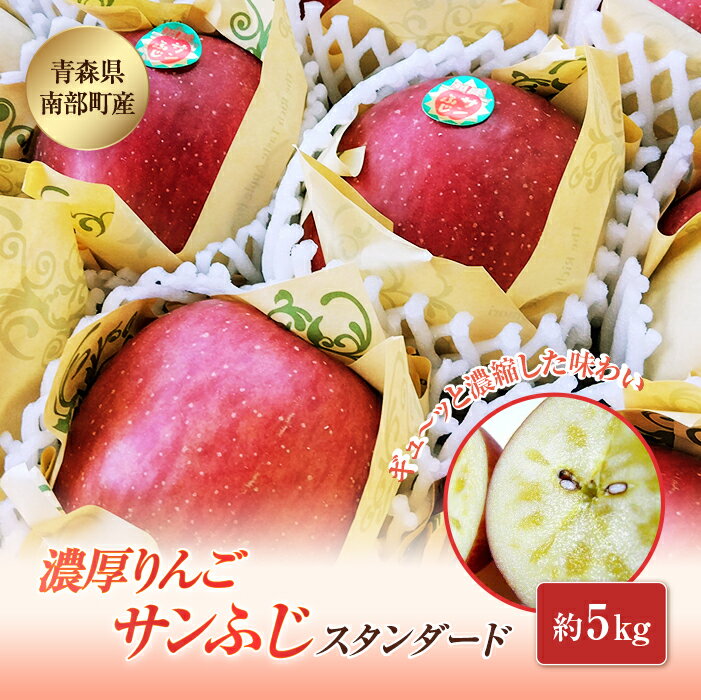 青森県南部町産 濃厚りんごサンふじ 約5kg 【アグリーデザイン】 スタンダード 青森りんご リンゴ 林檎 アップル 青森県 南部町 果物 くだもの フルーツ 3kg 以上 F21U-035
