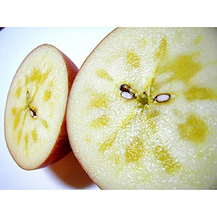 【ふるさと納税】 青森県南部町産 濃厚りんごサンふじ 約5kg 【アグリーデザイン】 スタンダード 青森りんご リンゴ 林檎 アップル 青森県 南部町 果物 くだもの フルーツ 3kg 以上 F21U-035 サムネイル2