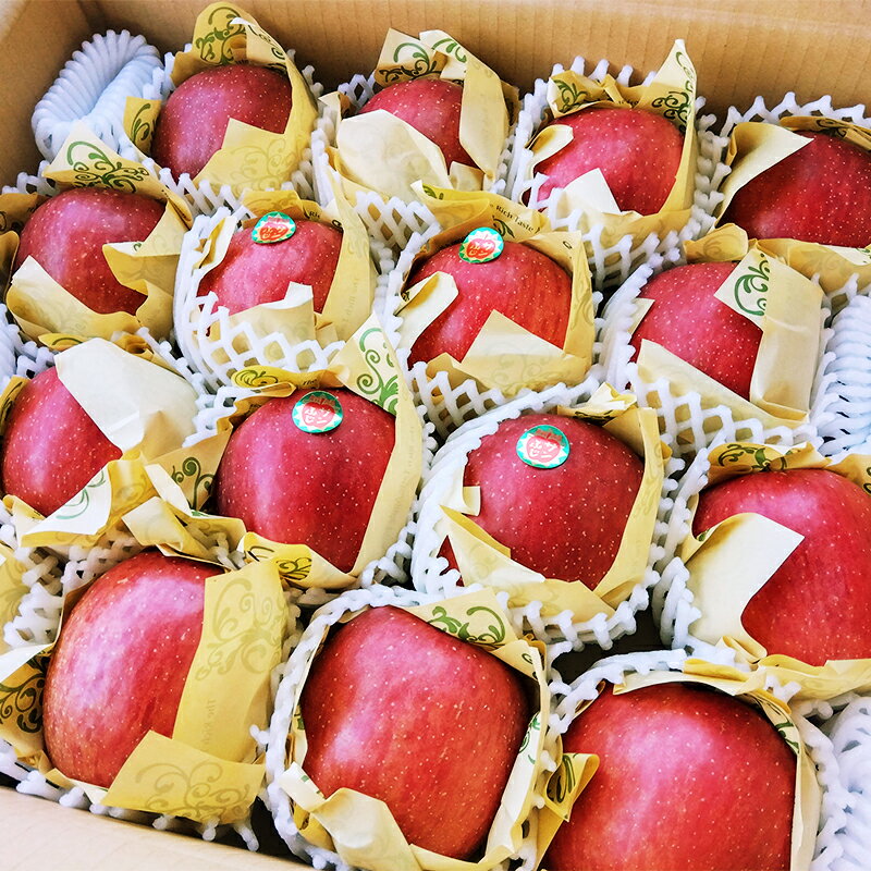 【ふるさと納税】 青森県南部町産 濃厚りんごサンふじ 約5kg 【アグリーデザイン】 スタンダード 青森りんご リンゴ 林檎 アップル 青森県 南部町 果物 くだもの フルーツ 3kg 以上 F21U-035 サムネイル3