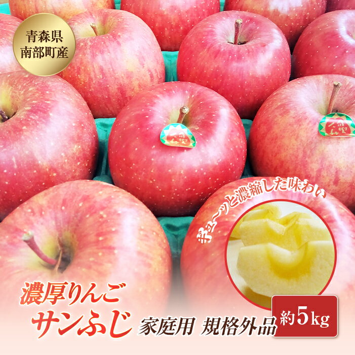 【訳あり】 青森県南部町産 濃厚りんご サンふじ （規格外品） 約5kg 【アグリーデザイン】 青森りんご リンゴ アップル 林檎 青森県 南部町 果物 くだもの フルーツ 家庭用 わけあり ワケアリ 規格外 3kg 以上 F21U-040
