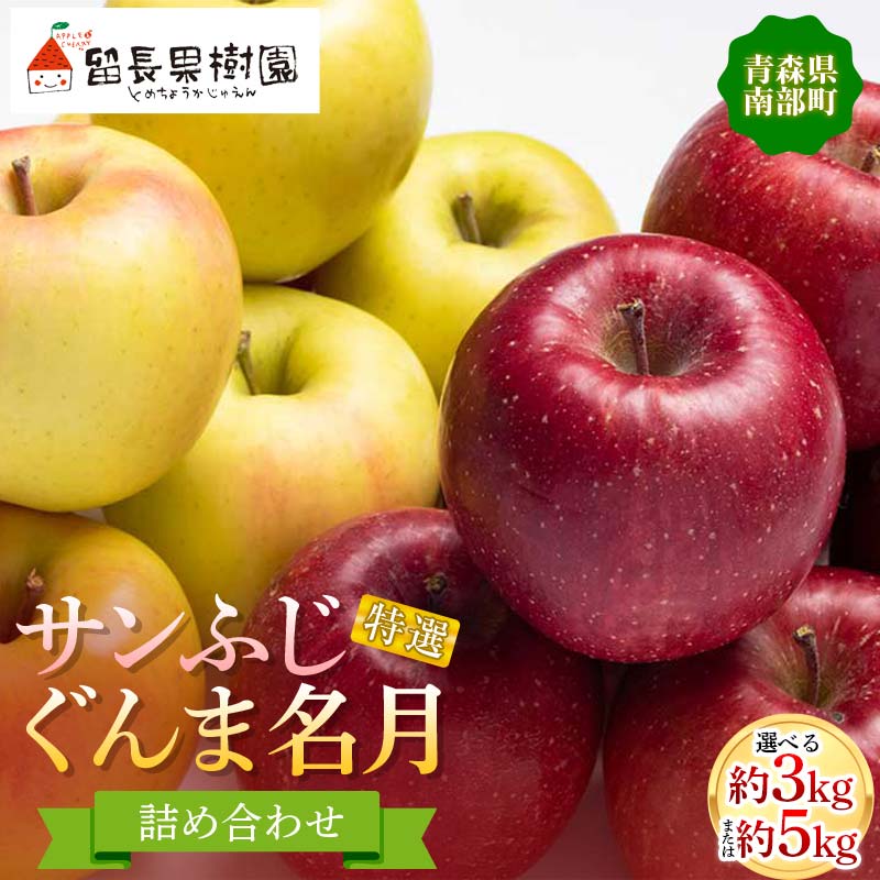 《選べる容量》 サンふじ・ぐんま名月 詰め合わせ 特選（大玉） 約3kg・約5kg 【留長果樹園】 青森りんご りんご リンゴ 林檎 アップル ふじ ぐんま名月 フルーツ 果物 くだもの 2種 セット あおもり 青森 青森県 南部町 三戸 南部 F21U-050var