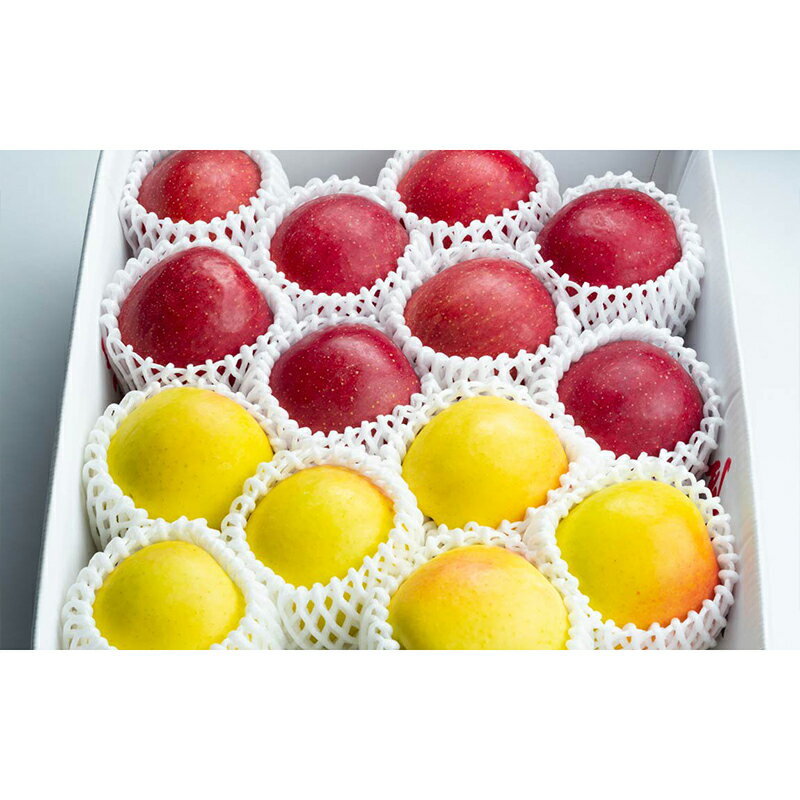 【ふるさと納税】《選べる容量》 サンふじ・ぐんま名月 詰め合わせ 特選（大玉） 約3kg・約5kg 【留長果樹園】 青森りんご りんご リンゴ 林檎 アップル ふじ ぐんま名月 フルーツ 果物 くだもの 2種 セット あおもり 青森 青森県 南部町 三戸 南部 F21U-050var サムネイル2