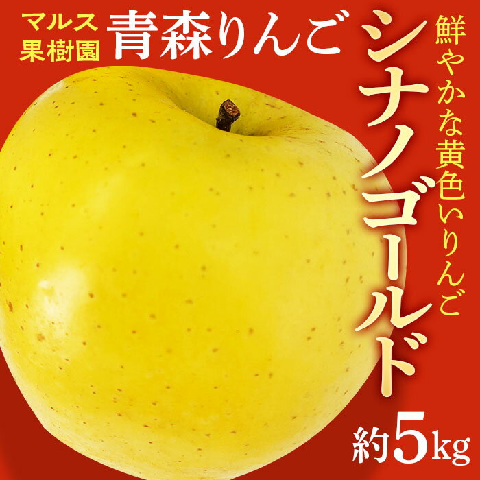 青森りんご シナノゴールド約5kg 【マルス果樹園】 りんご リンゴ 林檎 アップル 果物 くだもの フルーツ あおもり 青森 青森県 南部町 三戸 南部 3kg 以上 F21U-086