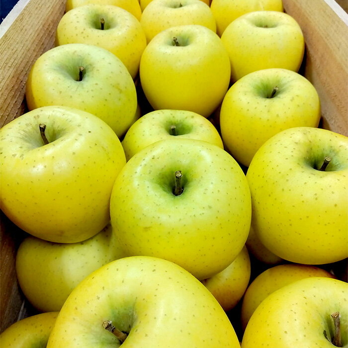 【ふるさと納税】 青森りんご シナノゴールド約5kg 【マルス果樹園】 りんご リンゴ 林檎 アップル 果物 くだもの フルーツ あおもり 青森 青森県 南部町 三戸 南部 3kg 以上 F21U-086 サムネイル2