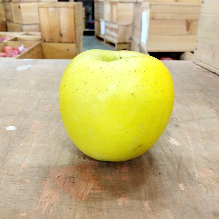 【ふるさと納税】 青森りんご シナノゴールド約5kg 【マルス果樹園】 りんご リンゴ 林檎 アップル 果物 くだもの フルーツ あおもり 青森 青森県 南部町 三戸 南部 3kg 以上 F21U-086 サムネイル3