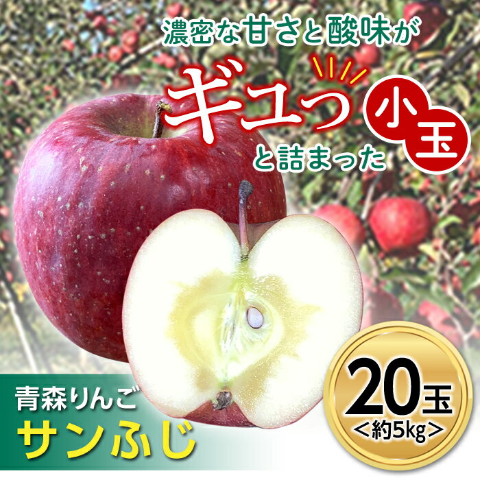 青森りんご サンふじ 約5kg (小玉20玉) 【マルス果樹園】 ふじ りんご リンゴ 林檎 アップル 果物 くだもの フルーツ あおもり 青森 青森県 南部町 三戸 南部 3kg 以上 F21U-101
