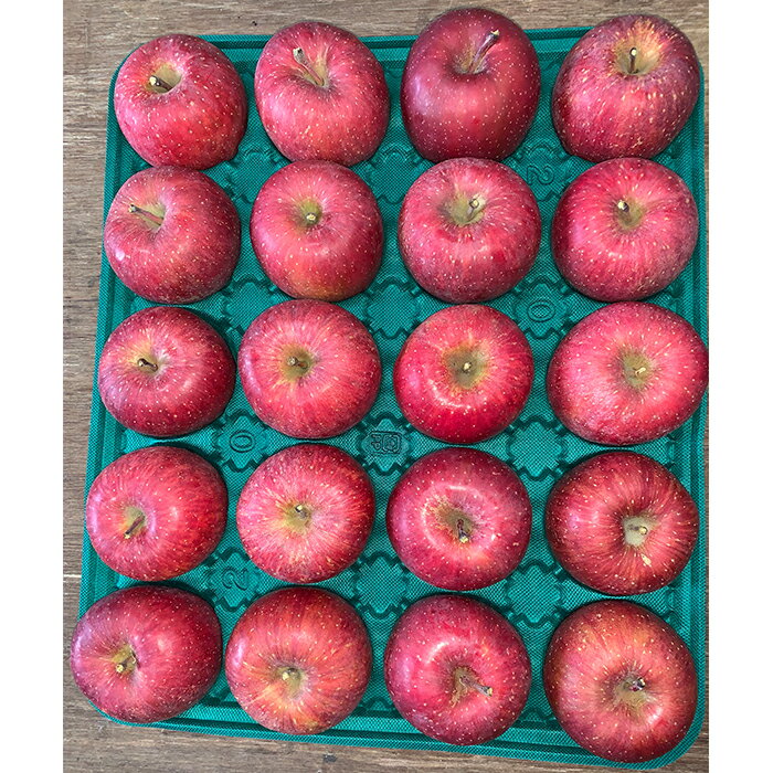 【ふるさと納税】 青森りんご サンふじ 約5kg (小玉20玉) 【マルス果樹園】 ふじ りんご リンゴ 林檎 アップル 果物 くだもの フルーツ あおもり 青森 青森県 南部町 三戸 南部 3kg 以上 F21U-101 サムネイル2