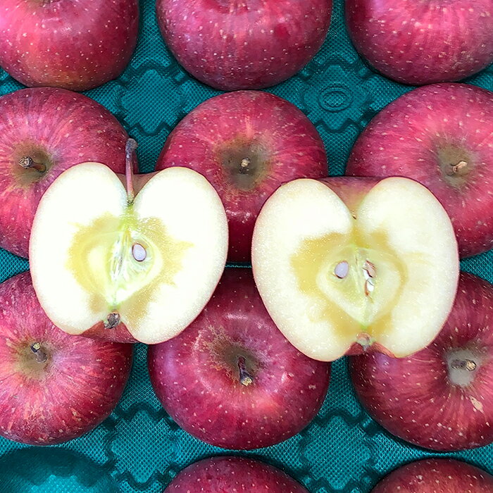 【ふるさと納税】 青森りんご サンふじ 約5kg (小玉20玉) 【マルス果樹園】 ふじ りんご リンゴ 林檎 アップル 果物 くだもの フルーツ あおもり 青森 青森県 南部町 三戸 南部 3kg 以上 F21U-101 サムネイル3