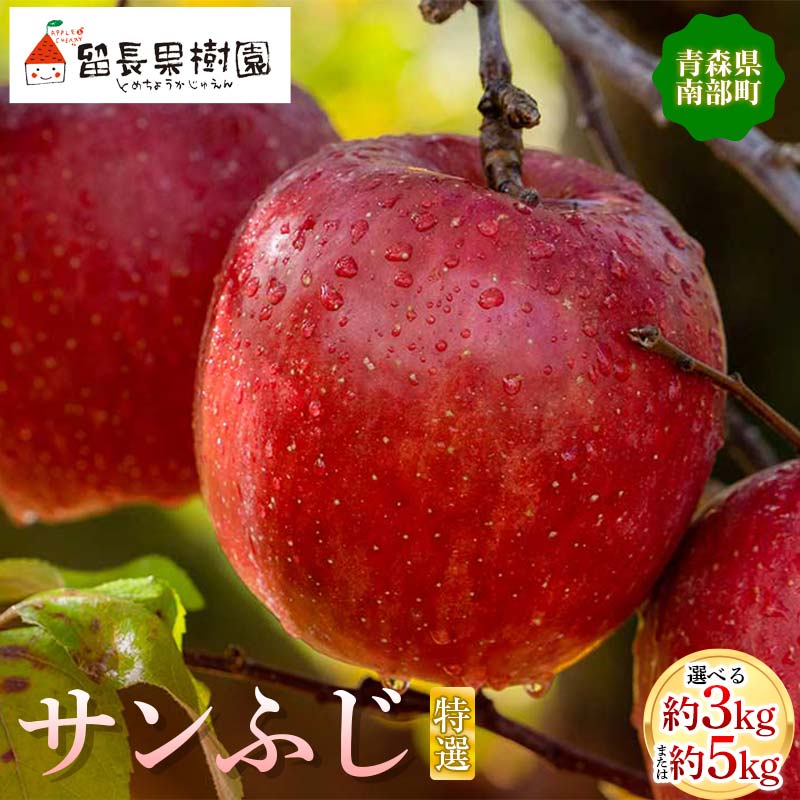 《選べる容量》サンふじ 特選（大玉） 約3kg・約5kg 【留長果樹園】 青森りんご りんご リンゴ 林檎 アップル ふじ フルーツ 果物 くだもの あおもり 青森 青森県 南部町 三戸 南部 F21U-213var
