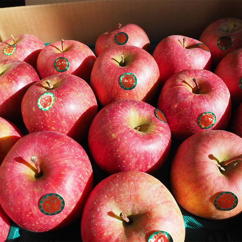 【ふるさと納税】 青森りんご サンふじ (大・中・小混合) 約10kg 【西村農園】 リンゴ 林檎 アップル あおもり 青森 青森県 南部町 三戸 南部 果物 くだもの フルーツ 3kg 5kg 以上 F21U-218 サムネイル2