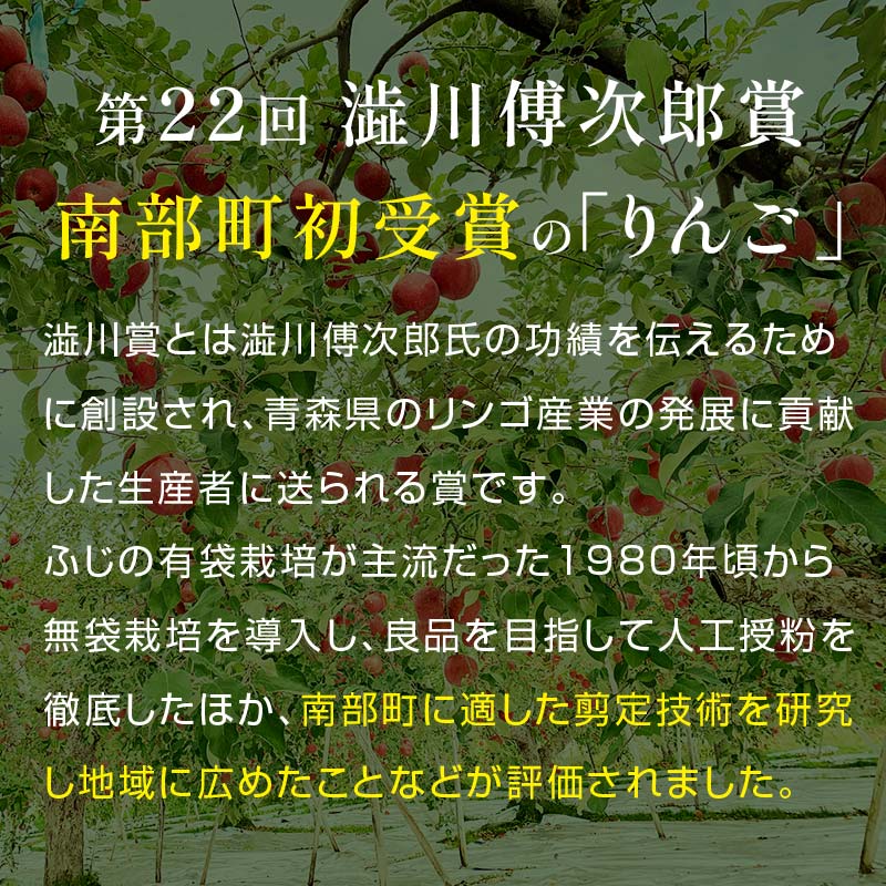 【ふるさと納税】 最高級 特選（超大玉） 青森産 完熟 りんご 約5kg サンふじ 王林 2種セット 化粧箱入り 【誠果園】 青森りんご リンゴ 林檎 アップル あおもり 青森 青森県 南部町 三戸 南部 澁川賞受賞 果物 くだもの フルーツ 贈答 3kg 以上 F21U-230 サムネイル3