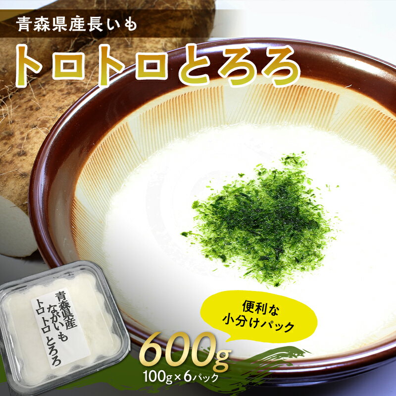 青森県産 長いも　トロトロとろろ　600g(100g×6パック) 【なんぶ農援】便利な小分けパック　無添加 F21U-257