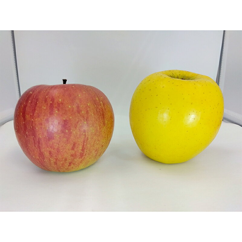 【ふるさと納税】 葉とらずりんご 旬の詰め合わせ 赤＆黄セット 約4.5kg 【四戸農園】 減農薬 有機肥料 青森りんご リンゴ 林檎 アップル あおもり 青森 青森県 南部町 果物 くだもの フルーツ 3kg 以上 F21U-265 サムネイル2