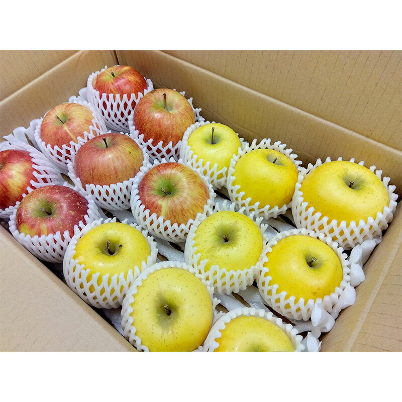 【ふるさと納税】 葉とらずりんご 旬の詰め合わせ 赤＆黄セット 約4.5kg 【四戸農園】 減農薬 有機肥料 青森りんご リンゴ 林檎 アップル あおもり 青森 青森県 南部町 果物 くだもの フルーツ 3kg 以上 F21U-265 サムネイル3