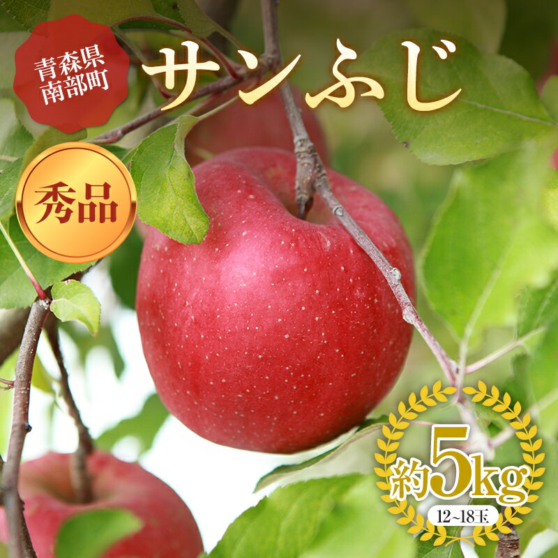 青森りんご サンふじ 秀品 約5kg（12～18玉）【マルス果樹園】 ふじ りんご リンゴ 林檎 アップル 果物 くだもの フルーツ あおもり 青森 青森県 南部町 三戸 南部 3kg 以上 F21U-270