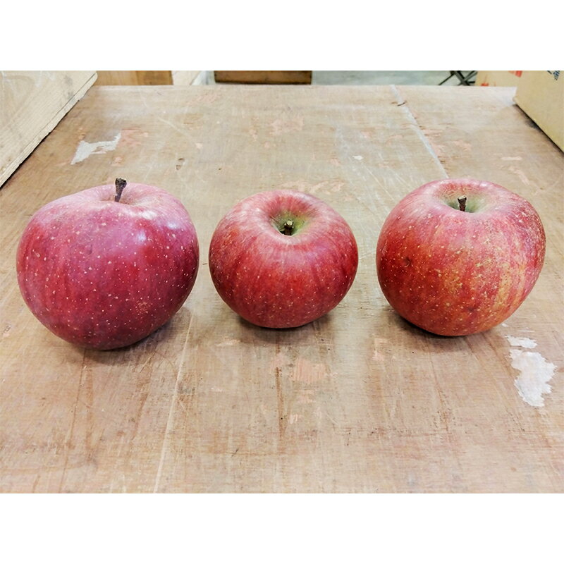 【ふるさと納税】 青森りんご サンふじ 秀品 約5kg（12～18玉）【マルス果樹園】 ふじ りんご リンゴ 林檎 アップル 果物 くだもの フルーツ あおもり 青森 青森県 南部町 三戸 南部 3kg 以上 F21U-270 サムネイル2
