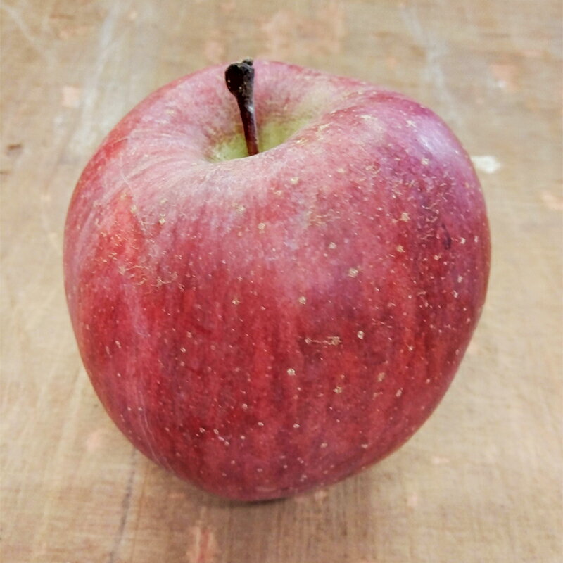 【ふるさと納税】 青森りんご サンふじ 秀品 約5kg（12～18玉）【マルス果樹園】 ふじ りんご リンゴ 林檎 アップル 果物 くだもの フルーツ あおもり 青森 青森県 南部町 三戸 南部 3kg 以上 F21U-270 サムネイル3