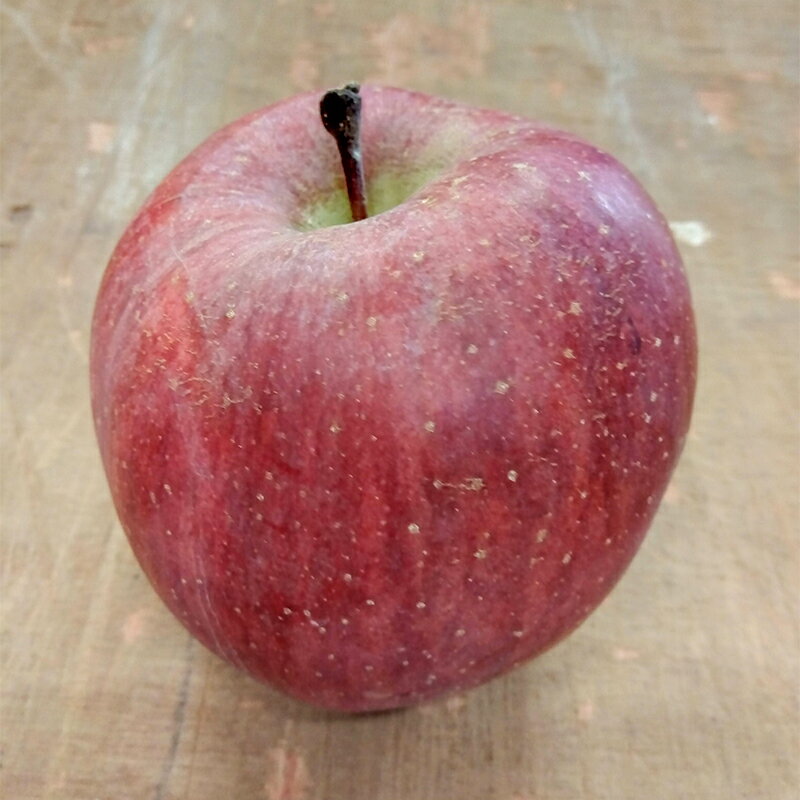 【ふるさと納税】 《訳あり》青森りんご サンふじ 約5kg（16～20玉） 【マルス果樹園】 ふじ りんご リンゴ 林檎 アップル 果物 くだもの フルーツ あおもり 青森 青森県 南部町 三戸 南部 家庭用 訳アリ 規格外 わけあり ワケアリ 3kg 以上 F21U-282 サムネイル2