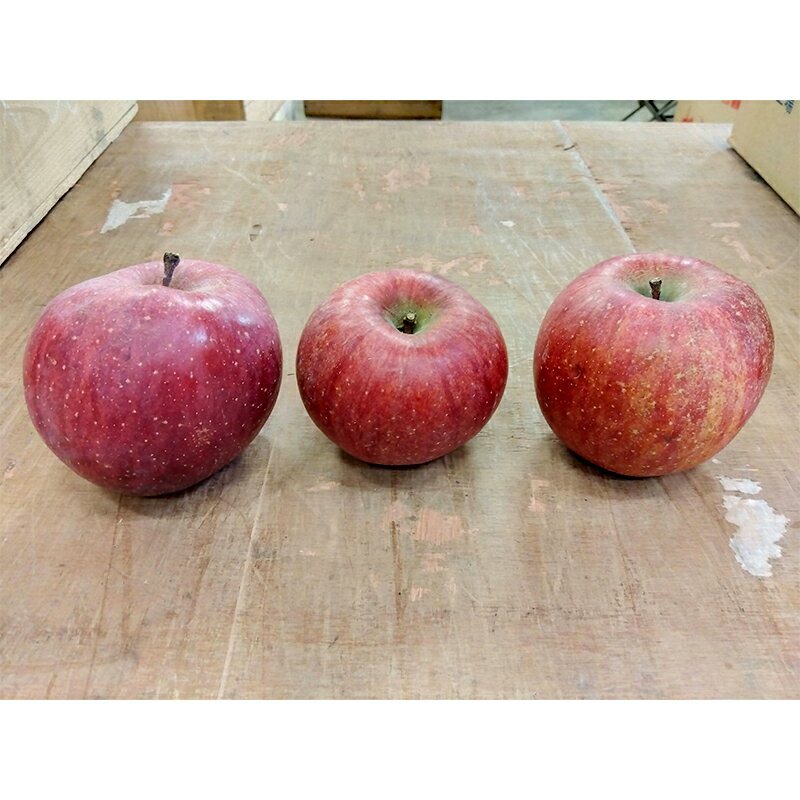 【ふるさと納税】 《訳あり》青森りんご サンふじ 約5kg（16～20玉） 【マルス果樹園】 ふじ りんご リンゴ 林檎 アップル 果物 くだもの フルーツ あおもり 青森 青森県 南部町 三戸 南部 家庭用 訳アリ 規格外 わけあり ワケアリ 3kg 以上 F21U-282 サムネイル3