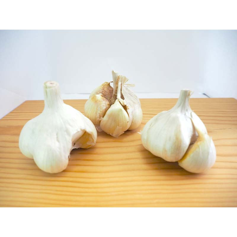 【ふるさと納税】 【訳あり】南部町営市場 直送 にんにく「ふくちホワイト六片種」約1kg 《カネテ青果》 青森にんにく ニンニク ガーリック バラ 最高級品種 福地ホワイト ふくちホワイト六片種 高級ブランド 日本一 青森 南部 F21U-333 - 画像2