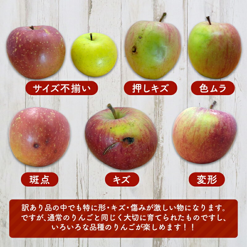 【ふるさと納税】 《訳ありの中の訳あり》 葉とらずりんご詰め合わせ 約5kg 【四戸農園】 減農薬 有機肥料 青森りんご リンゴ 林檎 アップル あおもり 青森 青森県 南部町 果物 くだもの フルーツ 訳あり 訳アリ わけあり 規格外 3kg 以上 F21U-361 サムネイル2