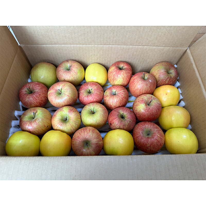 【ふるさと納税】 《訳ありの中の訳あり》 葉とらずりんご詰め合わせ 約5kg 【四戸農園】 減農薬 有機肥料 青森りんご リンゴ 林檎 アップル あおもり 青森 青森県 南部町 果物 くだもの フルーツ 訳あり 訳アリ わけあり 規格外 3kg 以上 F21U-361 サムネイル3