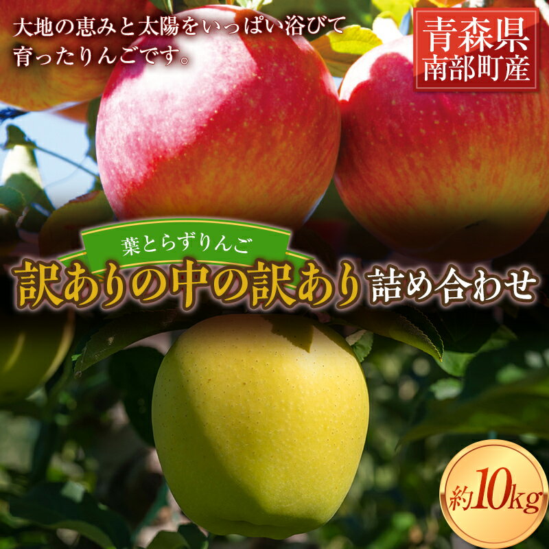 《訳ありの中の訳あり》 葉とらずりんご詰め合わせ 約10kg 【四戸農園】 減農薬 有機肥料 青森りんご リンゴ 林檎 アップル あおもり 青森 青森県 南部町 果物 くだもの フルーツ 訳あり 訳アリ わけあり 規格外 3kg 5kg 以上 F21U-362
