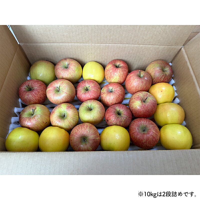 【ふるさと納税】 《訳ありの中の訳あり》 葉とらずりんご詰め合わせ 約10kg 【四戸農園】 減農薬 有機肥料 青森りんご リンゴ 林檎 アップル あおもり 青森 青森県 南部町 果物 くだもの フルーツ 訳あり 訳アリ わけあり 規格外 3kg 5kg 以上 F21U-362 サムネイル3