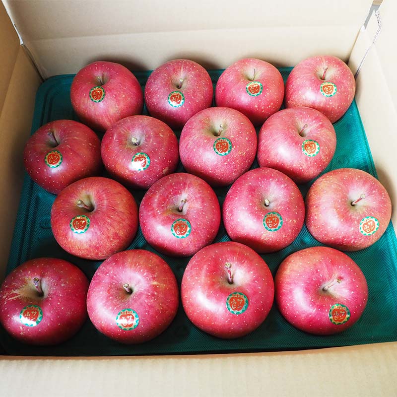 【ふるさと納税】 青森県 南部町産 りんご サンふじ 約10kg 【盛果園】 青森りんご リンゴ 林檎 アップル あおもり 青森 南部町 三戸 南部 果物 くだもの フルーツ 3kg 5kg 以上 F21U-366 サムネイル2