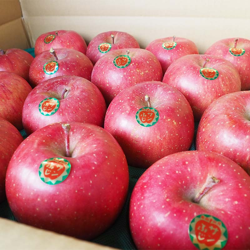 【ふるさと納税】 青森県 南部町産 りんご サンふじ 約10kg 【盛果園】 青森りんご リンゴ 林檎 アップル あおもり 青森 南部町 三戸 南部 果物 くだもの フルーツ 3kg 5kg 以上 F21U-366 サムネイル3