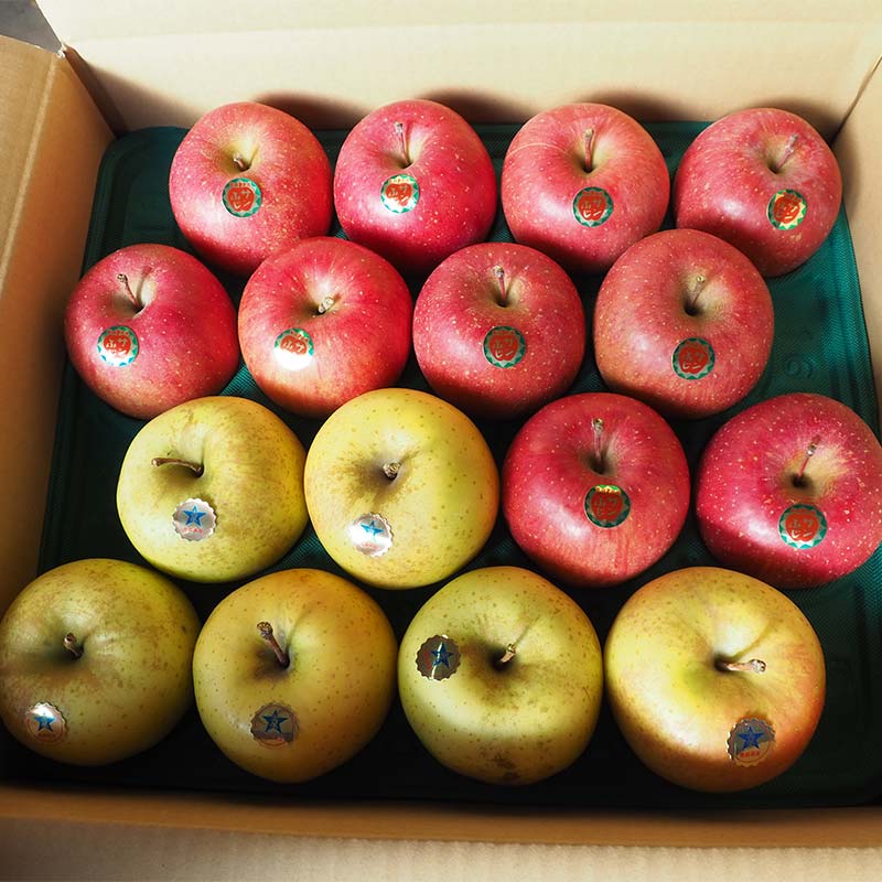 【ふるさと納税】 青森県 南部町産 りんご サンふじ＆サン金星 約5kg 【盛果園】 青森りんご リンゴ 林檎 アップル あおもり 青森 南部町 三戸 南部 果物 くだもの フルーツ セット 3kg 以上 F21U-367 サムネイル2