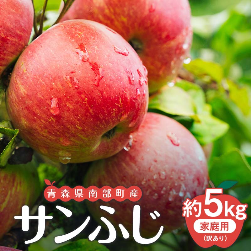 【訳あり】青森県南部町産りんご 家庭用サンふじ 約5kg【泉山果樹園】青森りんご リンゴ 林檎 アップル あおもり 青森 青森県 南部町 三戸 南部 果物 くだもの フルーツ 訳アリ わけあり 家庭用 規格外 3kg 以上 F21U-402