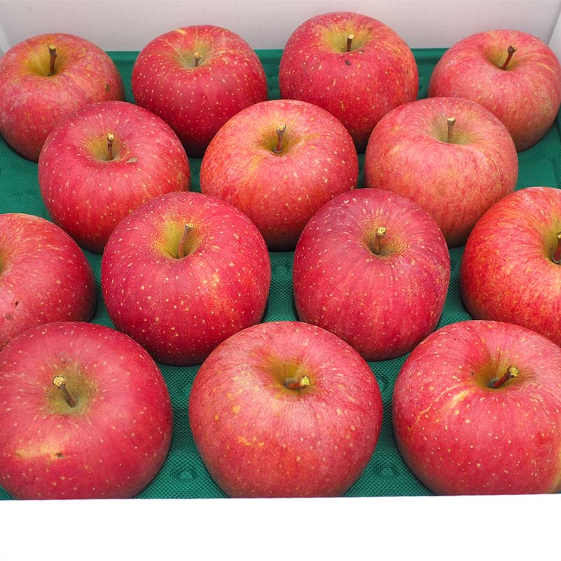 【ふるさと納税】 【訳あり】青森県南部町産りんご 家庭用サンふじ 約5kg【泉山果樹園】青森りんご リンゴ 林檎 アップル あおもり 青森 青森県 南部町 三戸 南部 果物 くだもの フルーツ 訳アリ わけあり 家庭用 規格外 3kg 以上 F21U-402 サムネイル2