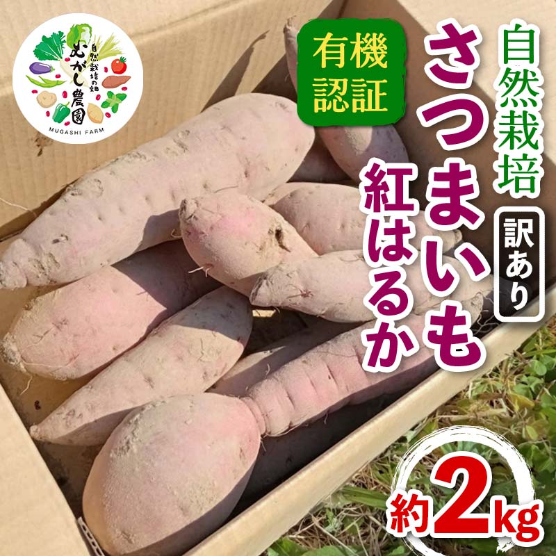 ≪訳あり≫ 有機認証 自然栽培 さつまいも (紅はるか) サイズ 混合 約2kg 【むがし農園】 サツマイモ 薩摩芋 焼芋 やきいも 焼きいも スイーツ おやつ デザート F21U-595