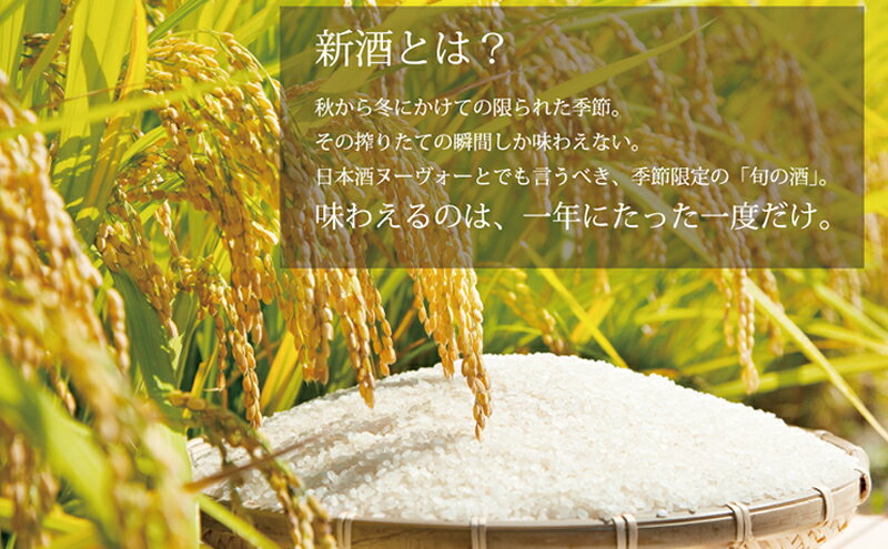 【ふるさと納税】日本酒 しぼりたて 純米 新酒 生原酒 720ml×2本 セット あさ開 お酒 酒 晩酌 純米酒 本数限定 期間限定 令和6年新米仕込み 冷蔵 冷蔵配送 岩手 岩手県 盛岡 盛岡市　お届け：2025年11月17日～2026年1月9日 サムネイル3