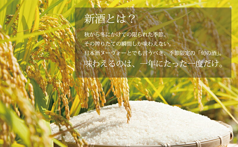 【ふるさと納税】日本酒 しぼりたて 純米大吟醸 新酒 生原酒 1800ml×2本 セット あさ開 お酒 酒 晩酌 純米 純米酒 大吟醸 吟醸酒 一升瓶 本数限定 期間限定 令和6年新米仕込み 冷蔵 冷蔵配送 岩手 岩手県 盛岡 盛岡市　お届け：2025年12月10日～2026年1月9日 サムネイル3